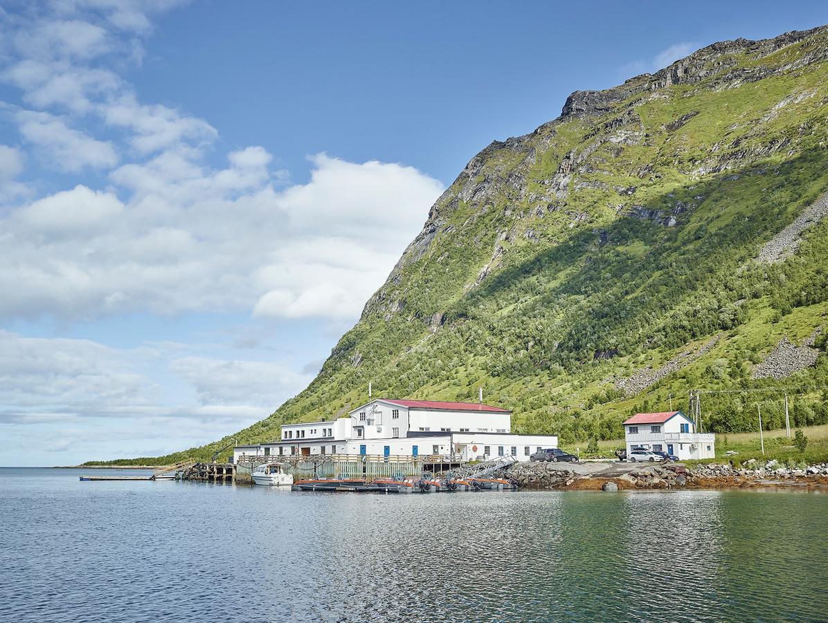 Northern Light Hotell/Camp Steinfjord Berg  외부 사진
