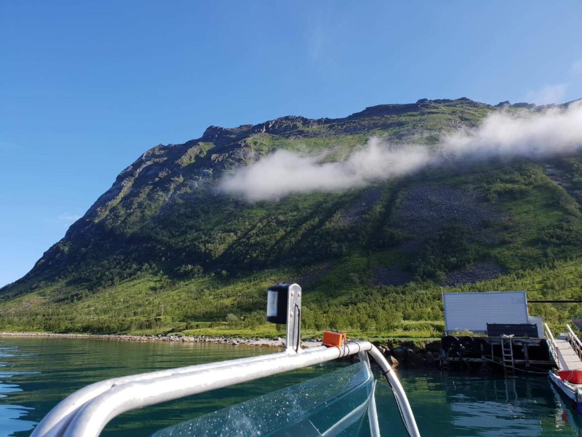 Northern Light Hotell/Camp Steinfjord Berg  외부 사진