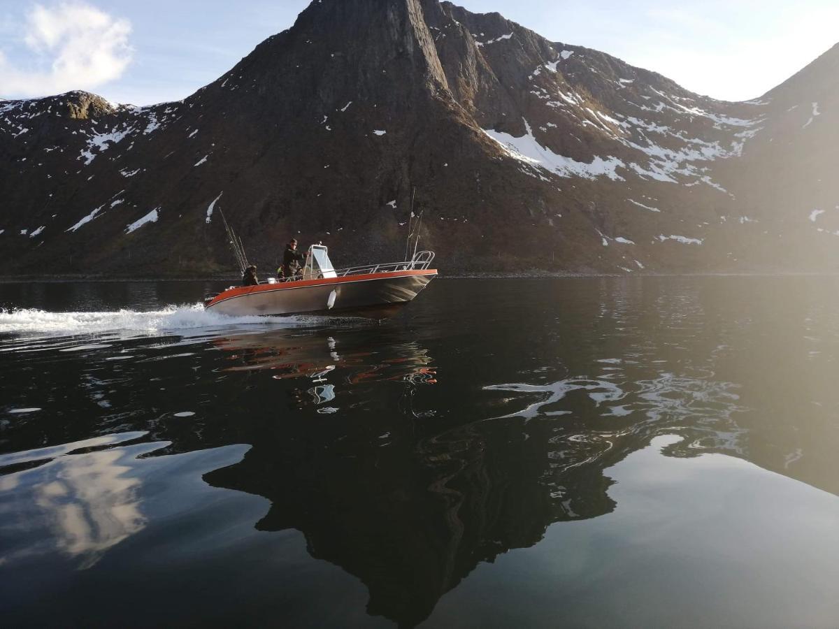 Northern Light Hotell/Camp Steinfjord Berg  외부 사진